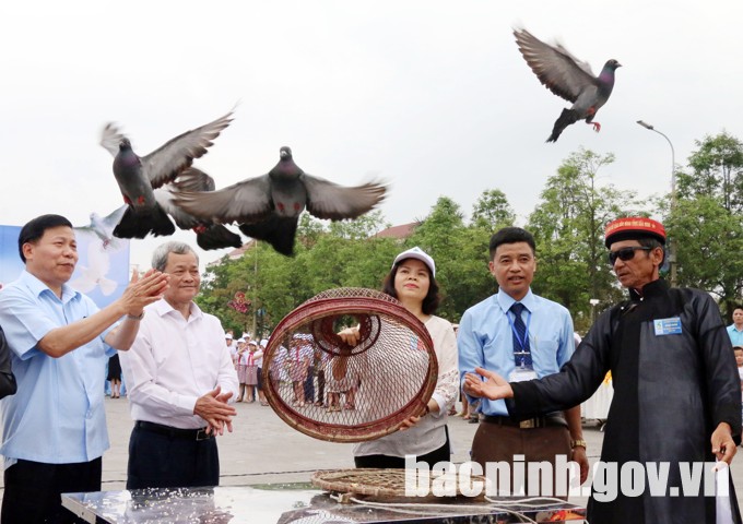 Hội thi thả chim bồ câu tỉnh Bắc Ninh 2018